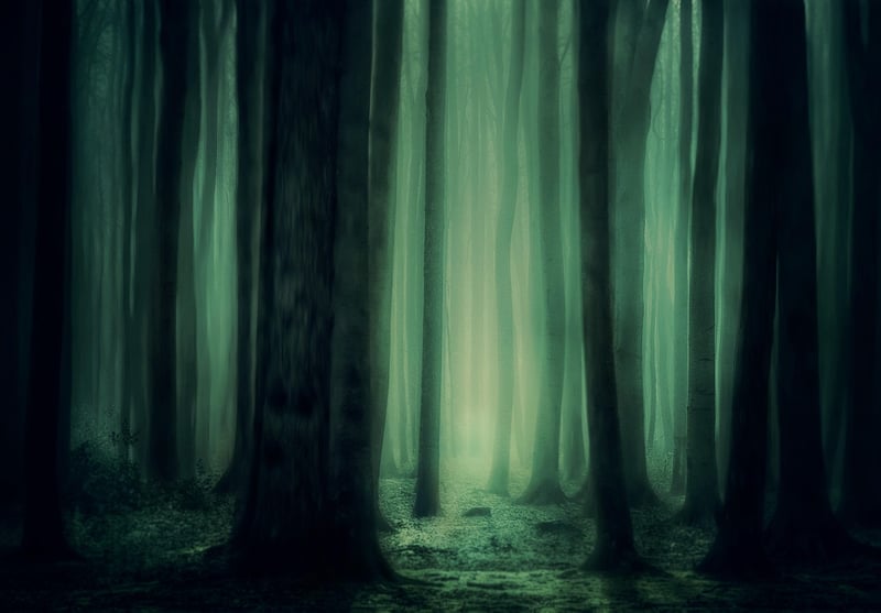 Mystical Forests
