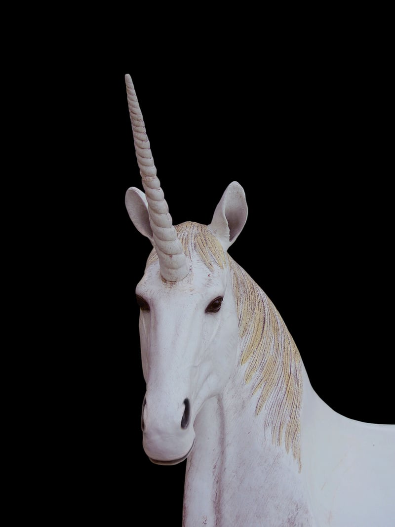 Unicorn Quests